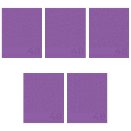 Тетрадь  48 листов Сиреневый 15018/5