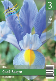 Ирис голландский Скай Бьюти  5шт. Эконом Colorline
