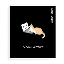 Тетрадь  48 листов П Информатика Коты мемы 69827