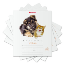 Тетрадь  12 листов линейка ErichKrause Дружба 42546