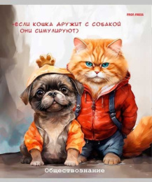 Тетрадь  48 листов П Обществознание Жил был кот Т48-2321