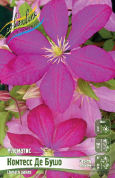 Клематис Комтесс Де Бушо 2шт. Colorline