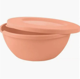 Миска пластиковая с крышкой 3,0л Helsinki персиковая карамель Plast Team PT107511040