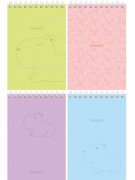 Блокнот А6  40 листов Нежная капибара, гребень Б40-9343