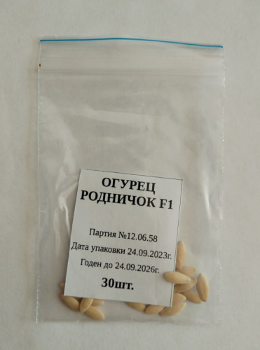 Огурец Родничок F1  30шт. Большая фасовка