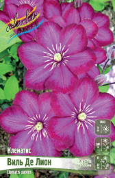 Клематис Виль Де Лион 2шт. Colorline