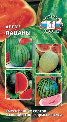 Арбуз Пацаны 1г цветной пакет Седек