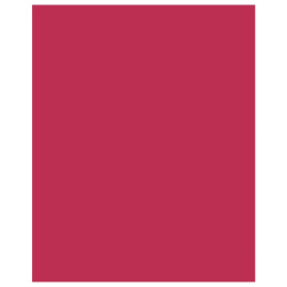 Тетрадь  48 листов Viva magenta 13982