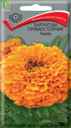 Бархатцы прямостоячие (Тагетес) Гавайи 0,4г цветной пакет Поиск