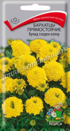 Бархатцы прямостоячие (Тагетес) Купид голден еллоу 0,2г цветной пакет Поиск