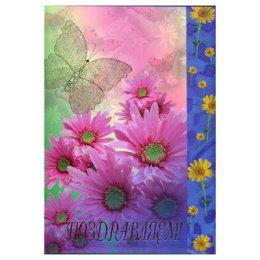 Папка адресная Поздравляем! Бабочка, ламинированная (пухлая) ПЛ 4007-01, 2132