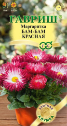 Маргаритка Бам-бам красная 7шт. цветной пакет серия Элитная клумба Гавриш