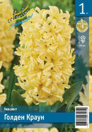 Гиацинт Голден Краун 1шт. Эконом Colorline