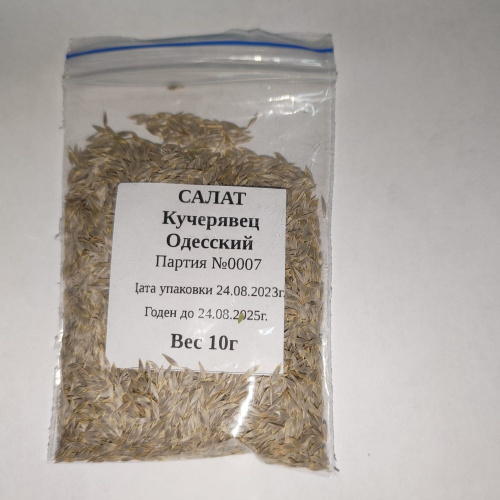 Салат полукочанный Кучерявец Одесский 10г Большая фасовка