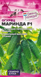 Огурец Маринда F1  5шт. цветной пакет Seminis Голландские Семена Семена Алтая