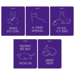 Тетрадь  48 листов Кошачье настроение 15027/5